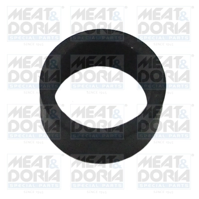 Seal Ring, injector